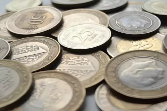 merkez bankasi bir madeni parayi daha tedavulden 19059662 2650 amp
