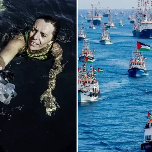 sumud filosu ndan cagri geldi turkiye aninda 19098005 220 amp
