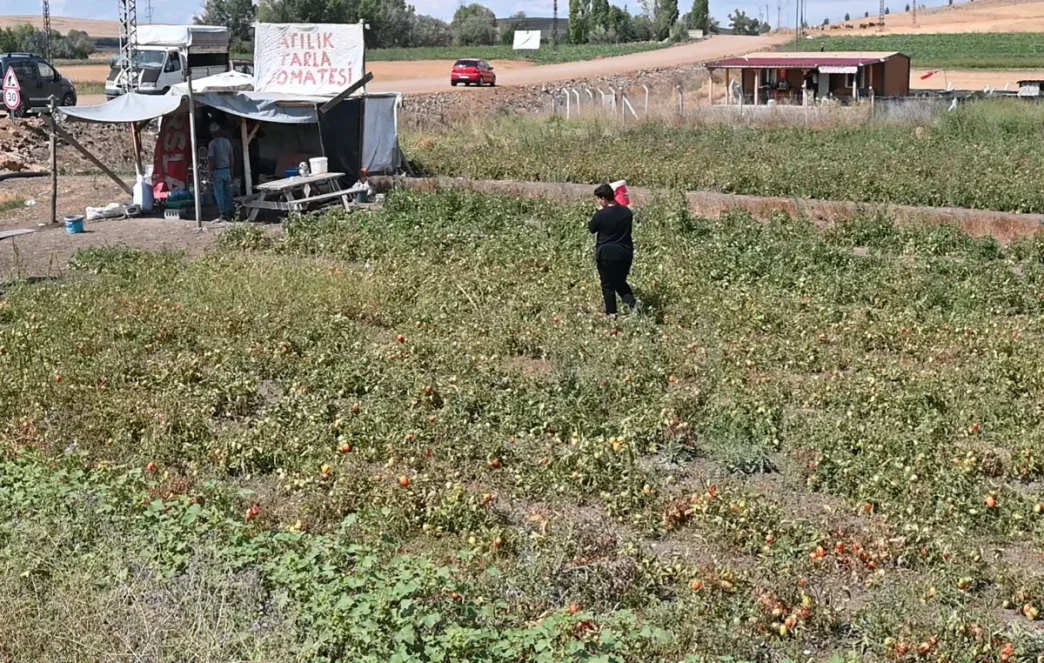 tarlasini vatandasa acti paraya para demedi 19030988 2155 amp