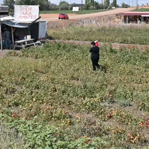 tarlasini vatandasa acti paraya para demedi 19030988 2155 amp