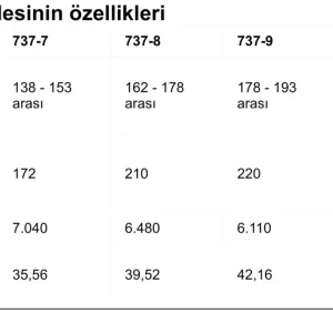 thy nin alacagi aciklanan boeing 737 max lerl 19090854 amp