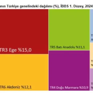 2024te Hanehalki Tuketim Harcamalarinin Dagilimi Aciklandi