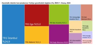 2024te Hanehalki Tuketim Harcamalarinin Dagilimi Aciklandi