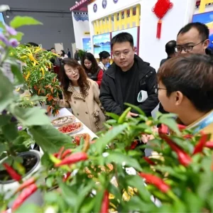 32 Cin Yangling Tarimsal Yuksek Teknoloji Fuari Basladi