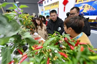 32. Çin Yangling Tarımsal Yüksek Teknoloji Fuarı Başladı 9 32 Cin Yangling Tarimsal Yuksek Teknoloji Fuari Basladi
