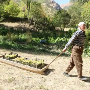80 Yasindaki Ciftci 65 Yildir Uzum Uretiyor