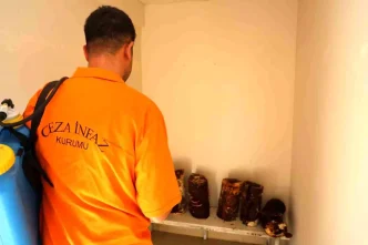 Adana Cezaevinde Hukumluler Kirmizi Reishi Mantari Uretti