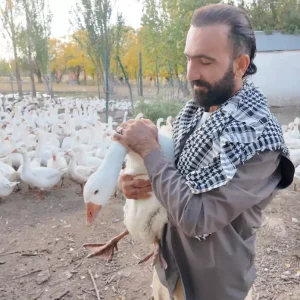Agrida Kanatli Hayvan Sevgiyle Yetistiriliyor