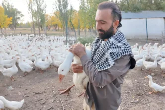 Agrida Kanatli Hayvan Sevgiyle Yetistiriliyor