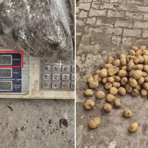 Ahlaksizlikta son nokta 22 kiloluk cuvaldan 13 kilo patates cikti