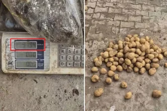Ahlaksizlikta son nokta 22 kiloluk cuvaldan 13 kilo patates cikti