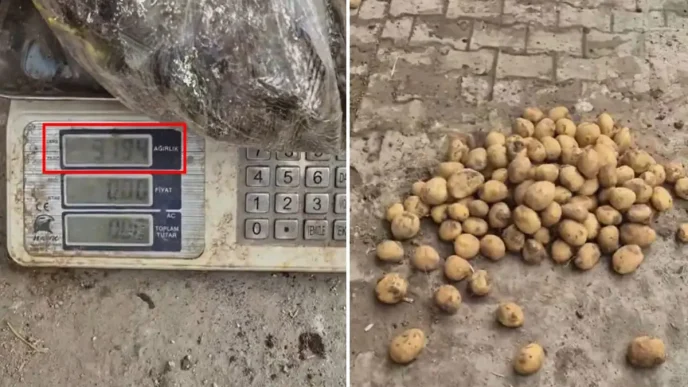 Ahlaksizlikta son nokta 22 kiloluk cuvaldan 13 kilo patates cikti