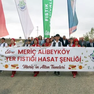 Alibey Koyunde Ilk Fistik Festivali Duzenlendi