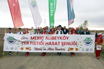 Alibey Koyunde Ilk Fistik Festivali Duzenlendi