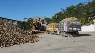 Amasya Seker Fabrikasi 72 Pancar Alim Kampanyasini Baslatti