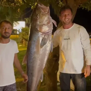 Amator Balikcilar 605 Kilogramlik Akyayi Yakaladi Geliri Kimsesiz Cocuklara Bagisladi