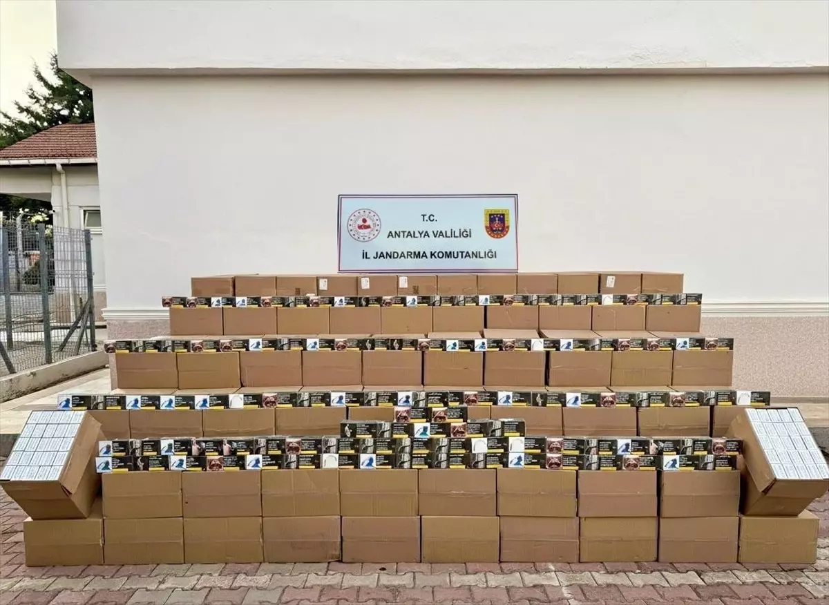 Antalyada Kacak Tutun Operasyonu 5 Milyon Makaron Ele Gecirildi