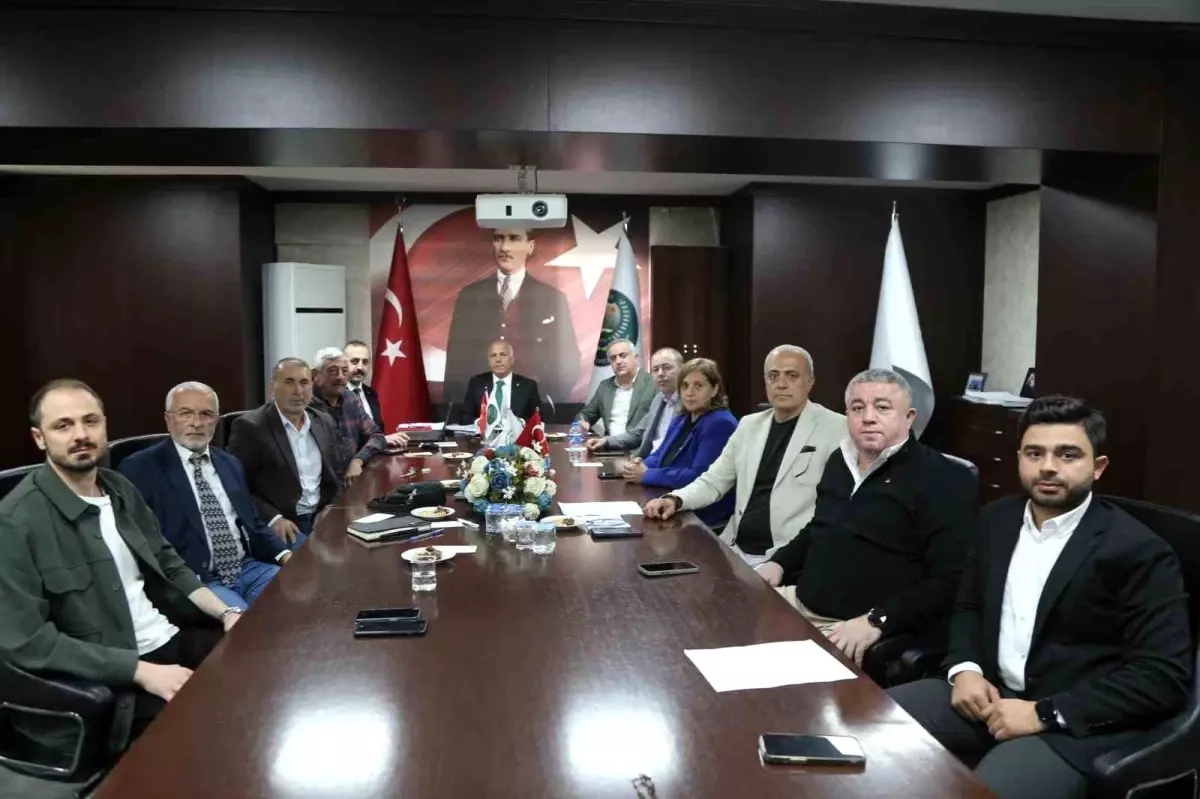 Artvinde Zeytin Hasadi Icin Fiyat Belirleme Toplantisi