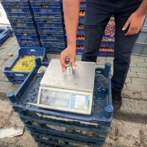 Avcilarda Zabita Ekipleri Pazarda Denetim Yapti