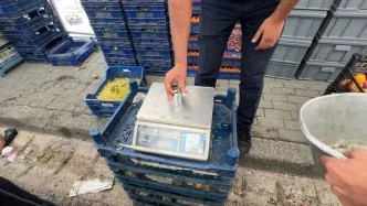 Avcilarda Zabita Ekipleri Pazarda Denetim Yapti