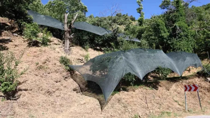 Aydinda Don Afeti Nedeniyle Ureticilere 50 Milyon Liralik Destek