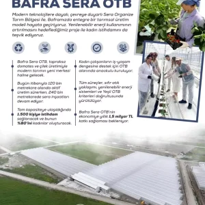 Bafra Sera Organize Tarim Bolgesi Projesi Kadin Istihdami ve Ekonomik