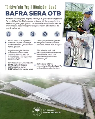 Bafra Sera Organize Tarim Bolgesi Projesi Kadin Istihdami ve Ekonomik