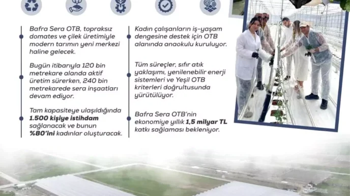 Bafra Sera Organize Tarim Bolgesi Projesi Kadin Istihdami ve Ekonomik