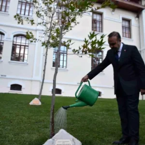 Bakan Kacir Bilecikte Cinar Agacini Suladi