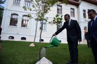 Bakan Kacir Bilecikte Cinar Agacini Suladi