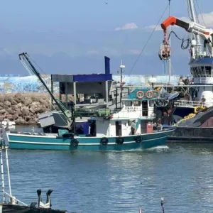 Balikcilar Hamsi Icin Hava Sicakliginin Dusmesini Bekliyor