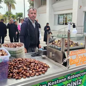Bandirmada Kestane Sezonu Basladi Haberler