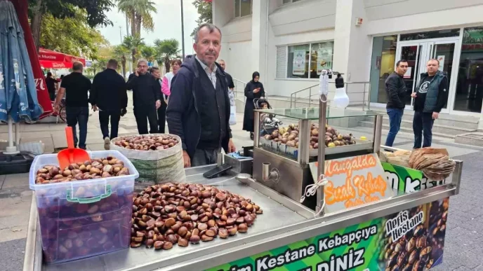Bandirmada Kestane Sezonu Basladi Haberler