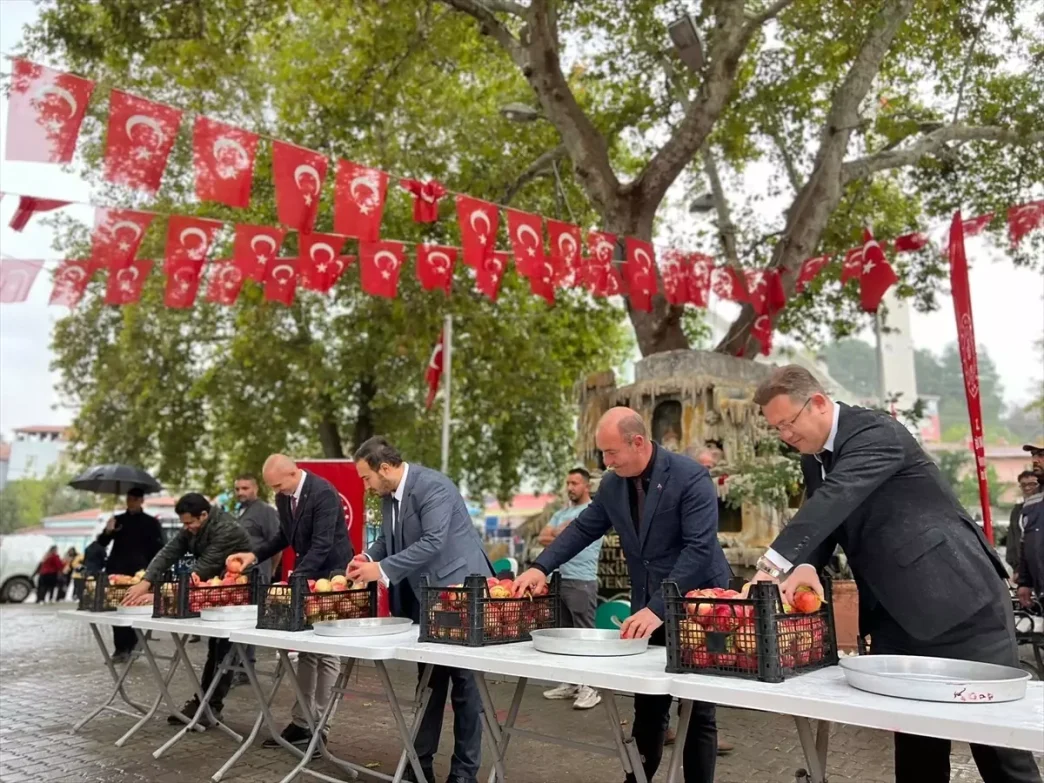 Bilecik'te 6. Nar Festivali Coşkusu 2 Bilecikte 6 Nar Festivali Coskusu