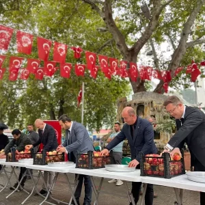 Bilecikte 6 Nar Festivali Coskusu