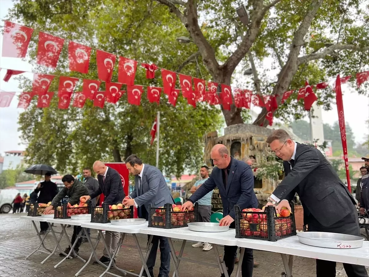 Bilecik'te 6. Nar Festivali Coşkusu 3 Bilecikte 6 Nar Festivali Coskusu