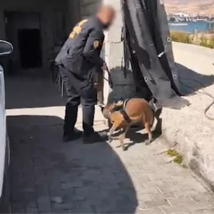 Bitliste Uyusturucu Operasyonu 5 Kisi Tutuklandi