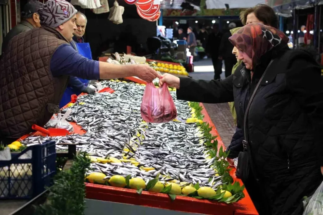 Boluda Hamsi Fiyati 250 Liradan 150 Liraya Dustu