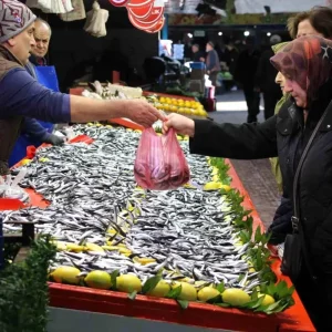 Boluda Hamsi Fiyati 250 Liradan 150 Liraya Dustu