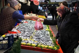 Boluda Hamsi Fiyati 250 Liradan 150 Liraya Dustu
