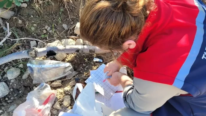Buharkentte Zeytin ve Incir Bahcelerinde Zararlilarla Mucadele Devam Ediyor