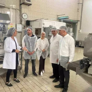 Bursa Kestane Sekerinde Dunya Standartlari