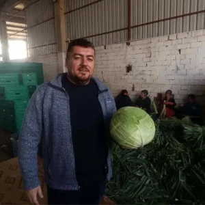 Bursanin Yenisehir Ilcesinde Kislik Hasat Basladi