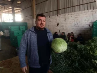 Bursanin Yenisehir Ilcesinde Kislik Hasat Basladi