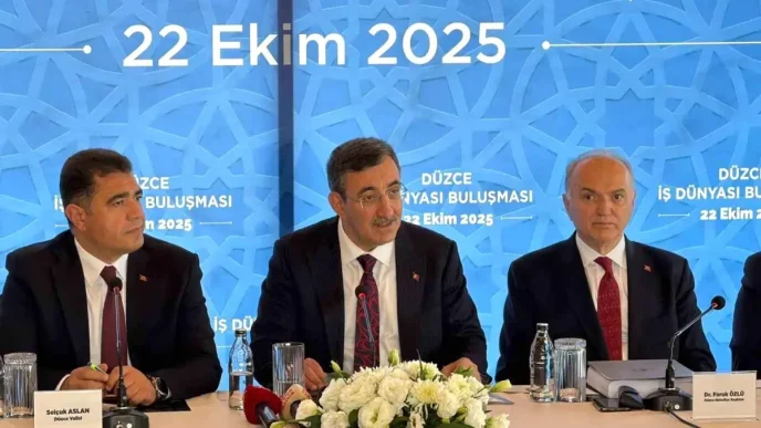 Cumhurbaskani Yardimcisi Yilmaz TLye olan guven artmis durumda