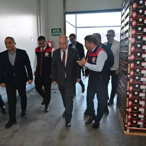Denizlide Ihracatlik Nar Hasadina Baslandi