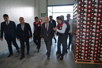 Denizlide Ihracatlik Nar Hasadina Baslandi