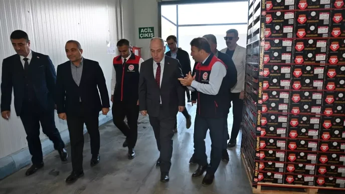 Denizlide Ihracatlik Nar Hasadina Baslandi