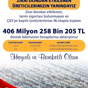 Denizlide Zirai Dondan Etkilenen Ureticilere 406 Milyon TL Destek