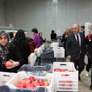Denizliden Avrupaya Nar Ihracati Basladi